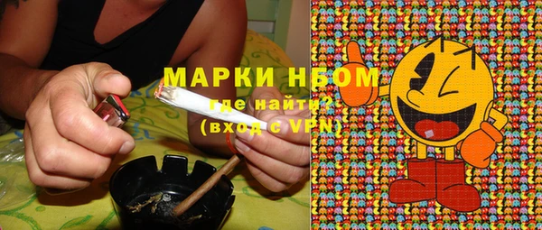 индика Бикин