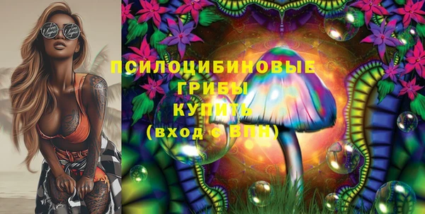 индика Бикин