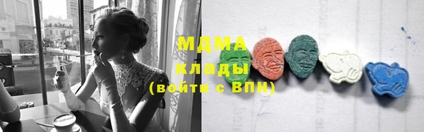 индика Бикин