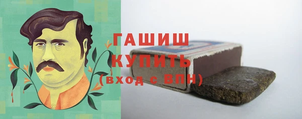индика Бикин