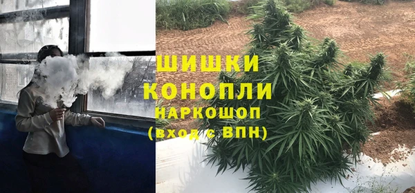 винт Нея
