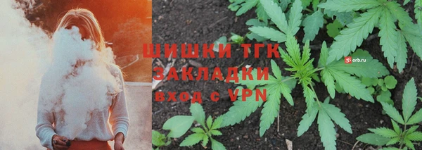индика Бикин